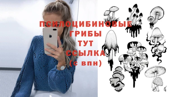 дурь Алзамай